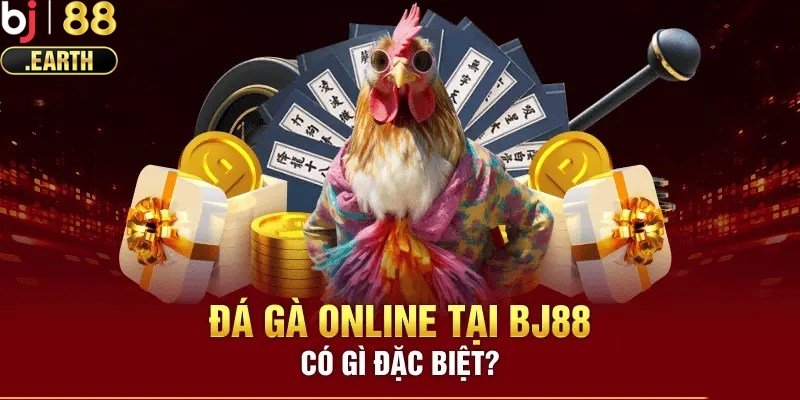 Các điểm nổi bật tại đá gà BJ88