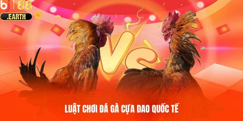 Luật chơi chi tiết đá gà cựa dao quốc tế